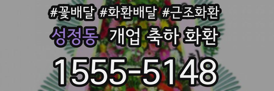 성정동 개업 축하 화환
