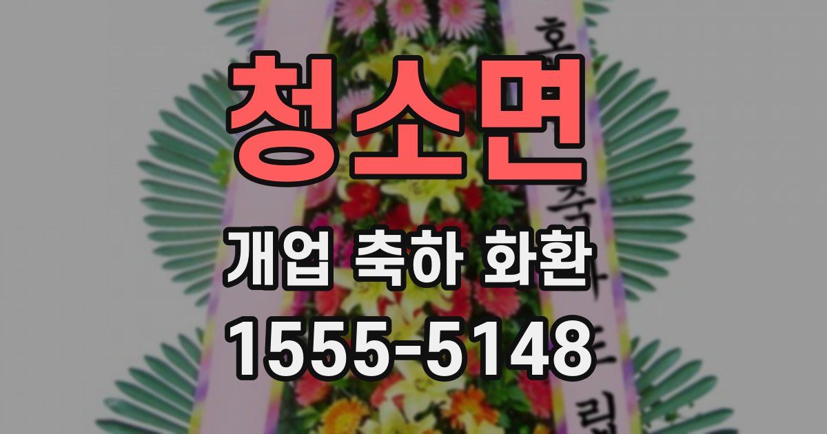 청소면 개업 축하 화환