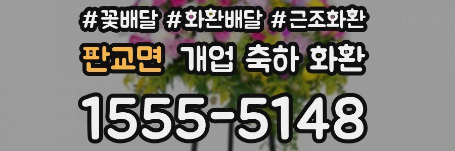 판교면 개업 축하 화환