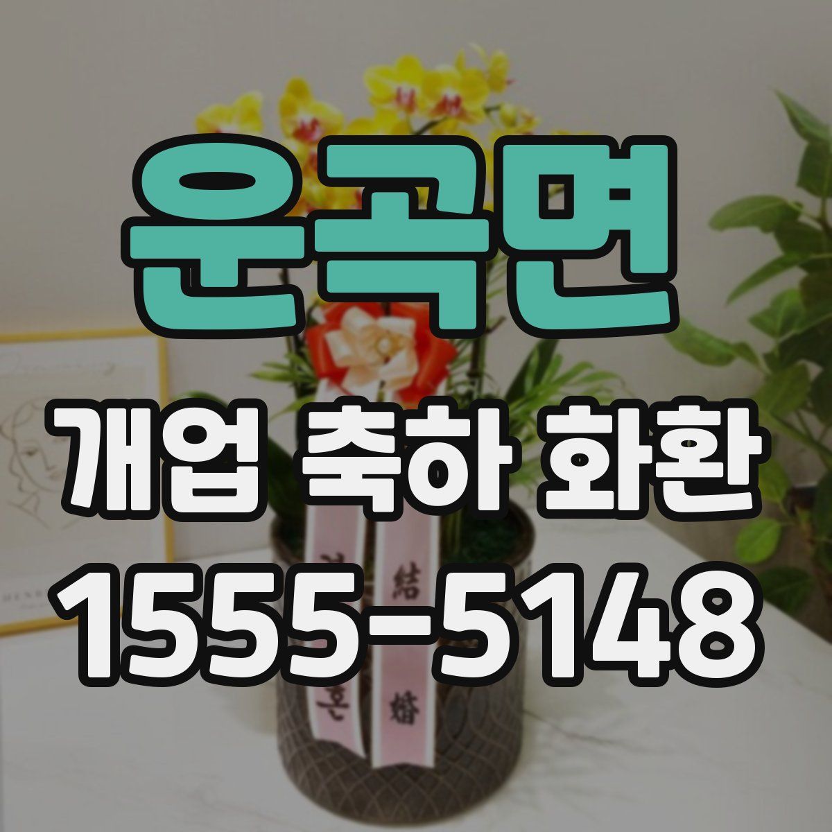 운곡면 개업 축하 화환