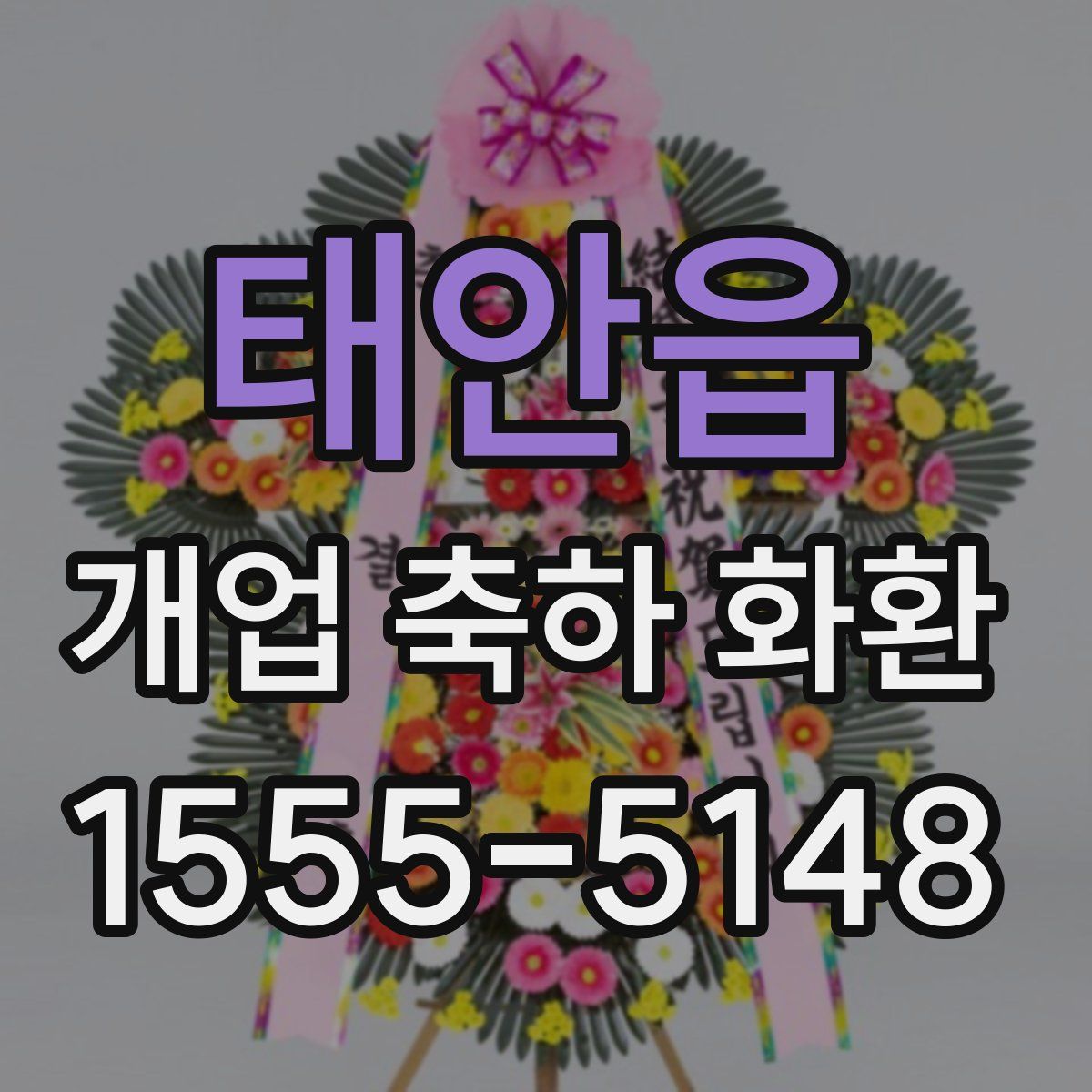 태안읍 개업 축하 화환