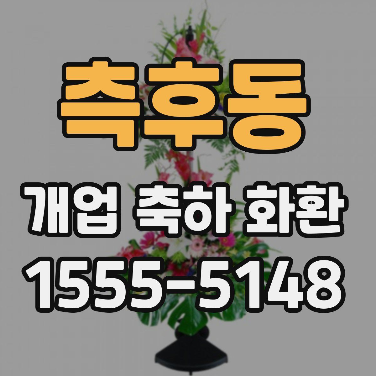 측후동 개업 축하 화환