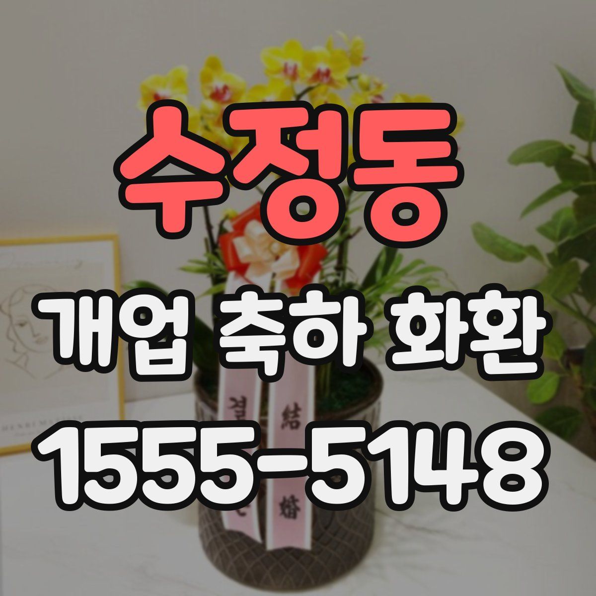 수정동 개업 축하 화환