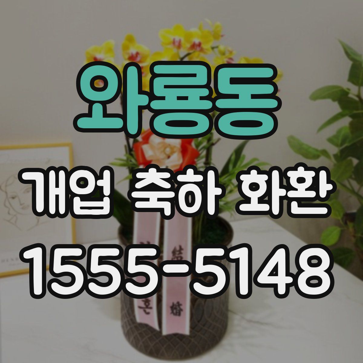 와룡동 개업 축하 화환