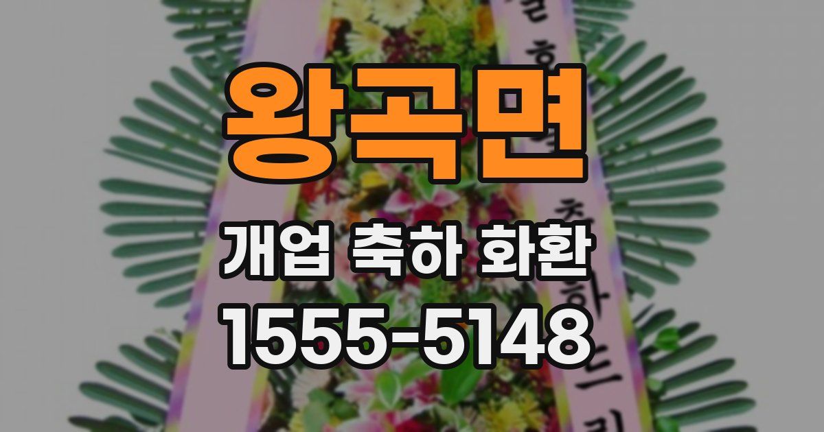 왕곡면 개업 축하 화환