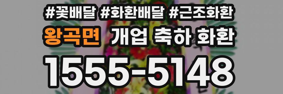 왕곡면 개업 축하 화환
