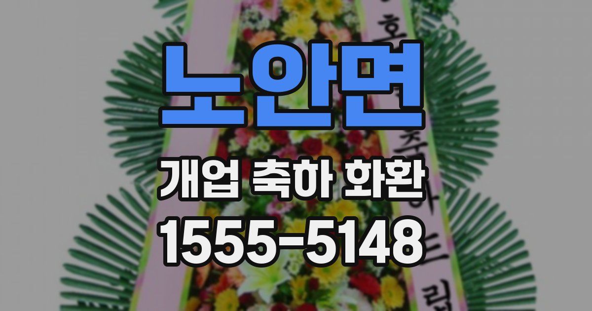 노안면 개업 축하 화환
