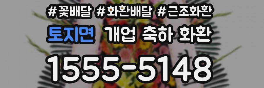 토지면 개업 축하 화환