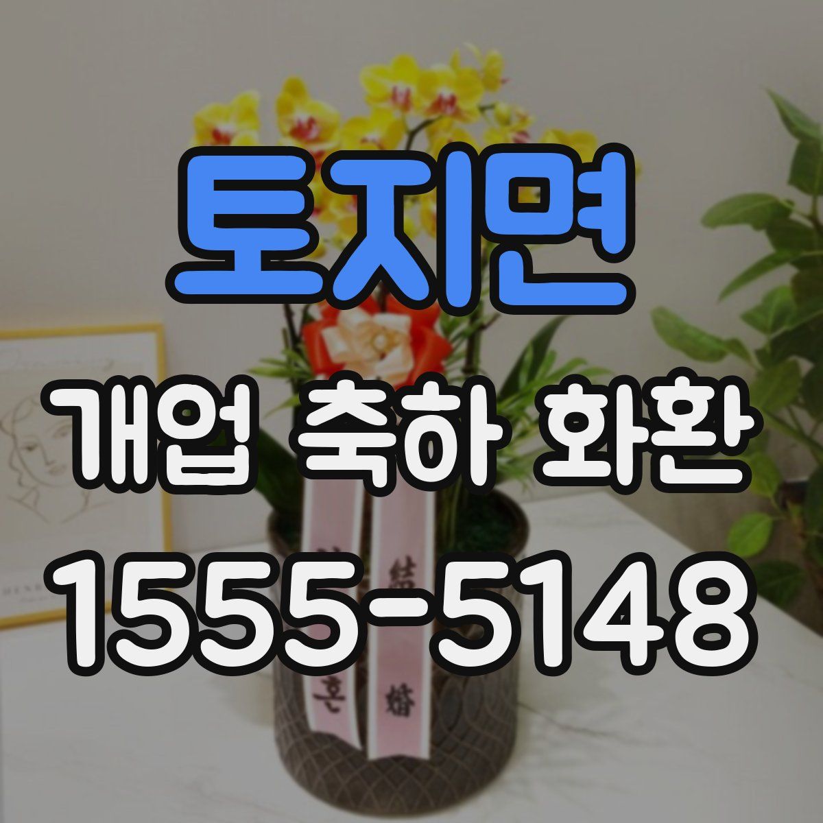 토지면 개업 축하 화환