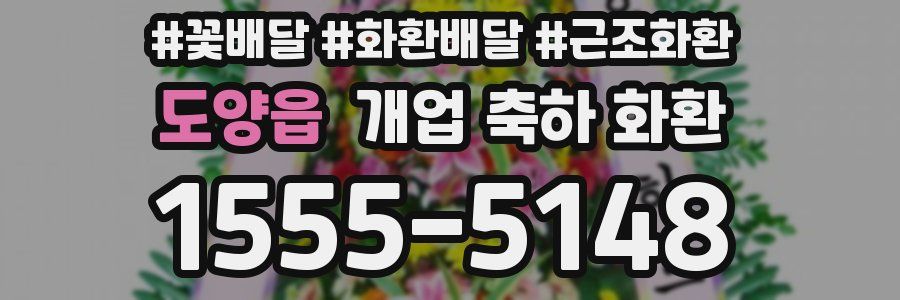 도양읍 개업 축하 화환