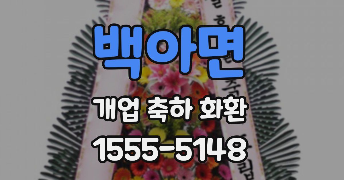 백아면 개업 축하 화환