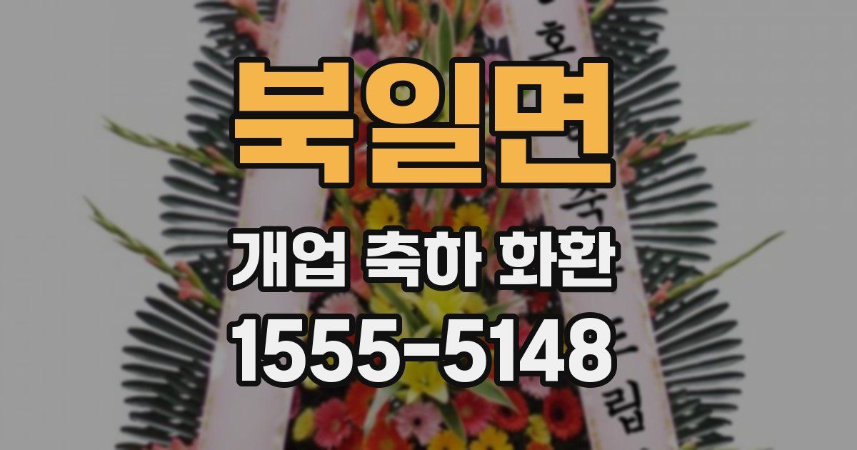 북일면 개업 축하 화환