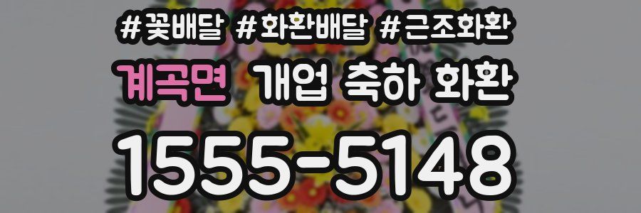 계곡면 개업 축하 화환