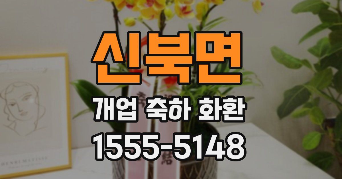 신북면 개업 축하 화환