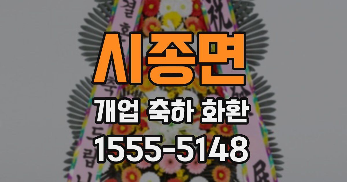 시종면 개업 축하 화환