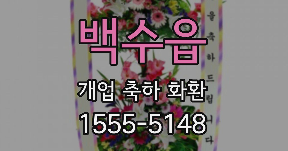 백수읍 개업 축하 화환