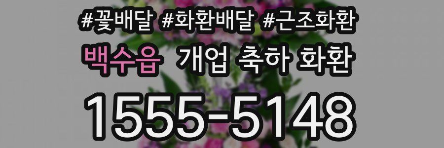 백수읍 개업 축하 화환