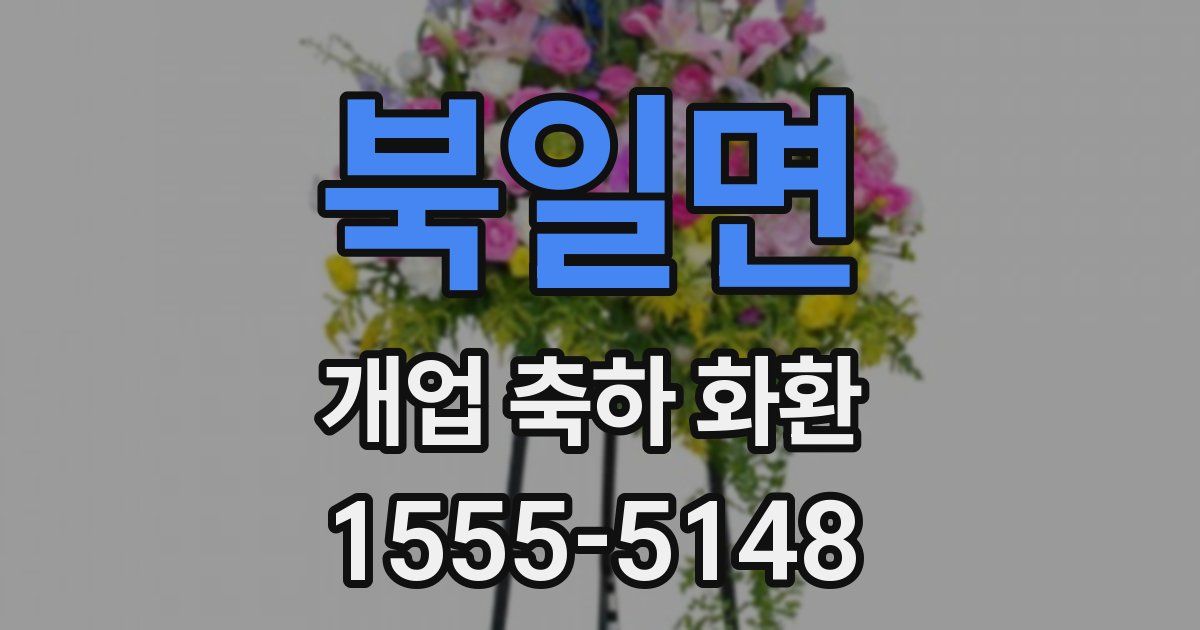 북일면 개업 축하 화환