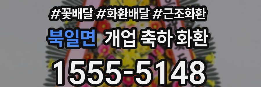 북일면 개업 축하 화환