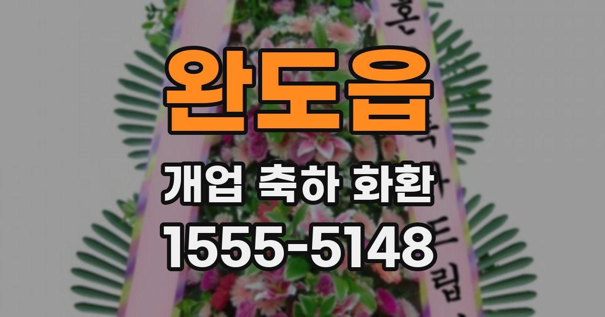 완도읍 개업 축하 화환