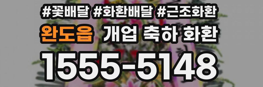 완도읍 개업 축하 화환