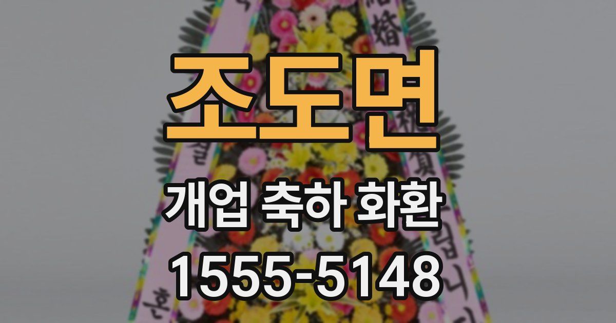 조도면 개업 축하 화환
