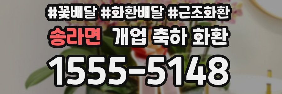 송라면 개업 축하 화환
