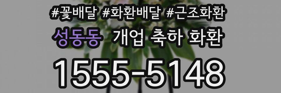 성동동 개업 축하 화환