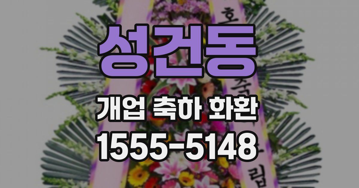 성건동 개업 축하 화환