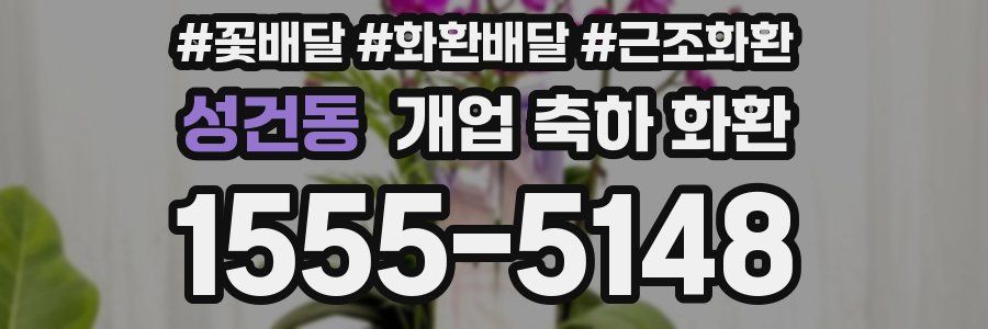 성건동 개업 축하 화환