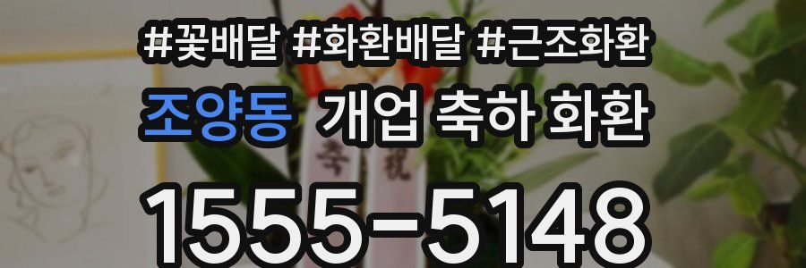조양동 개업 축하 화환