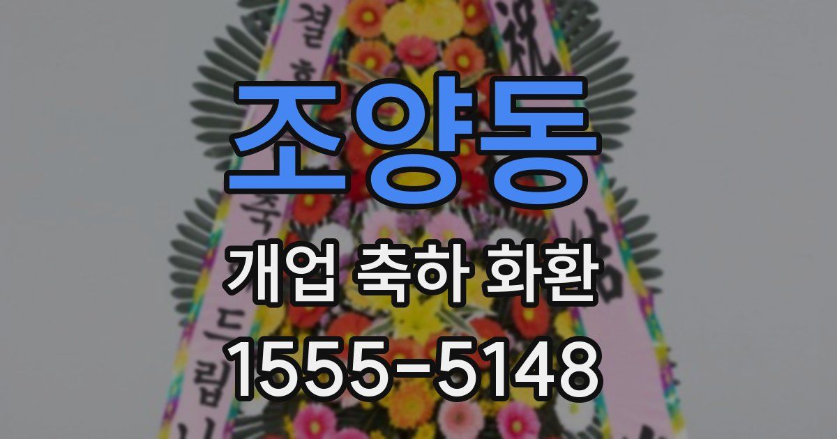 조양동 개업 축하 화환