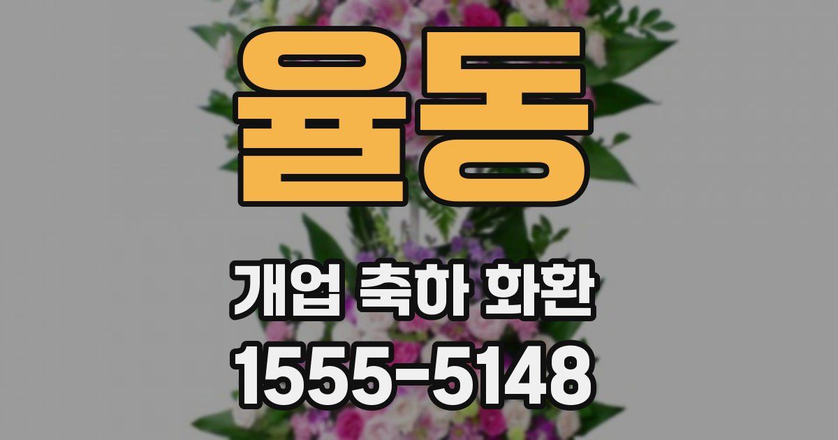 율동 개업 축하 화환