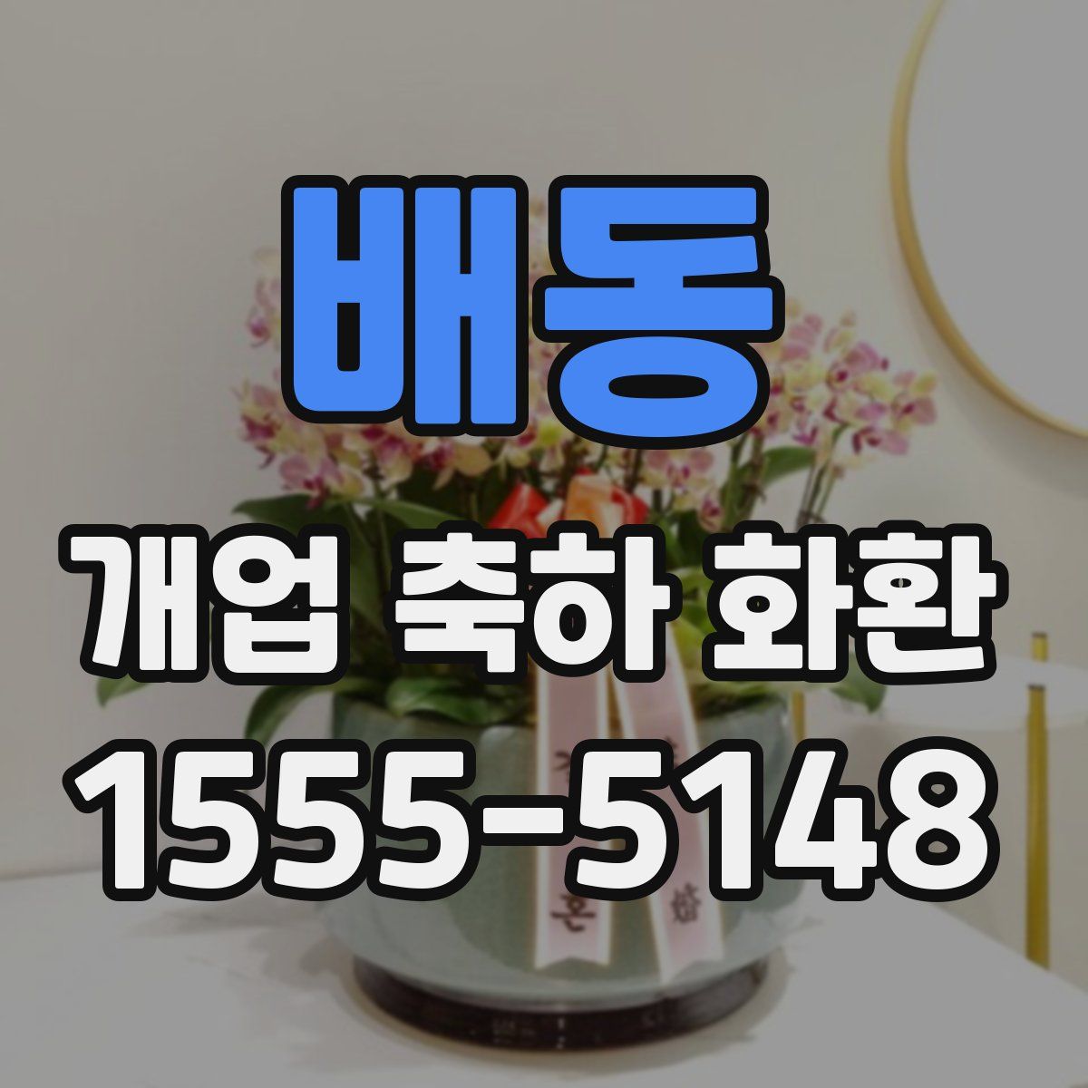 배동 개업 축하 화환