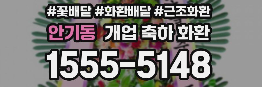 안기동 개업 축하 화환