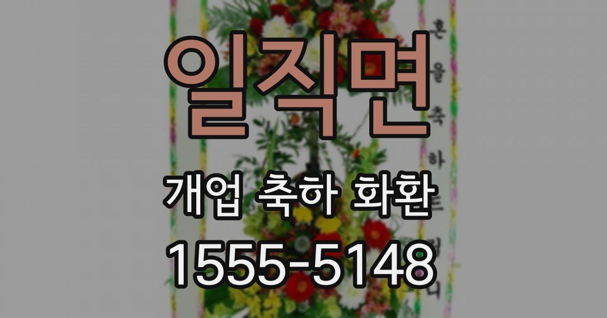 일직면 개업 축하 화환