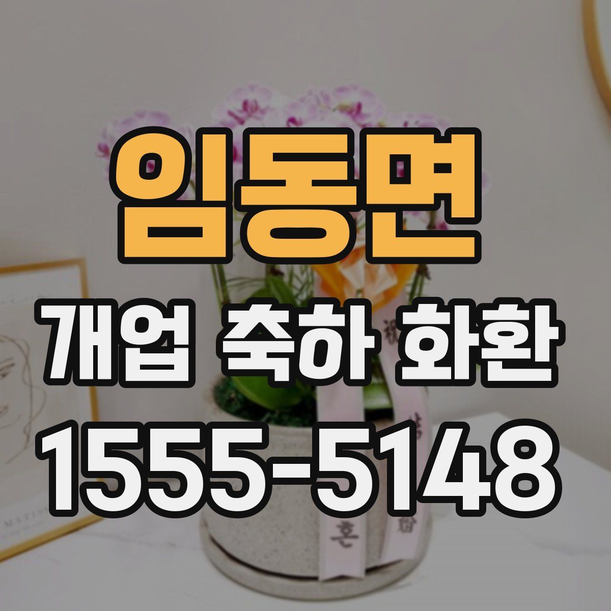 임동면 개업 축하 화환