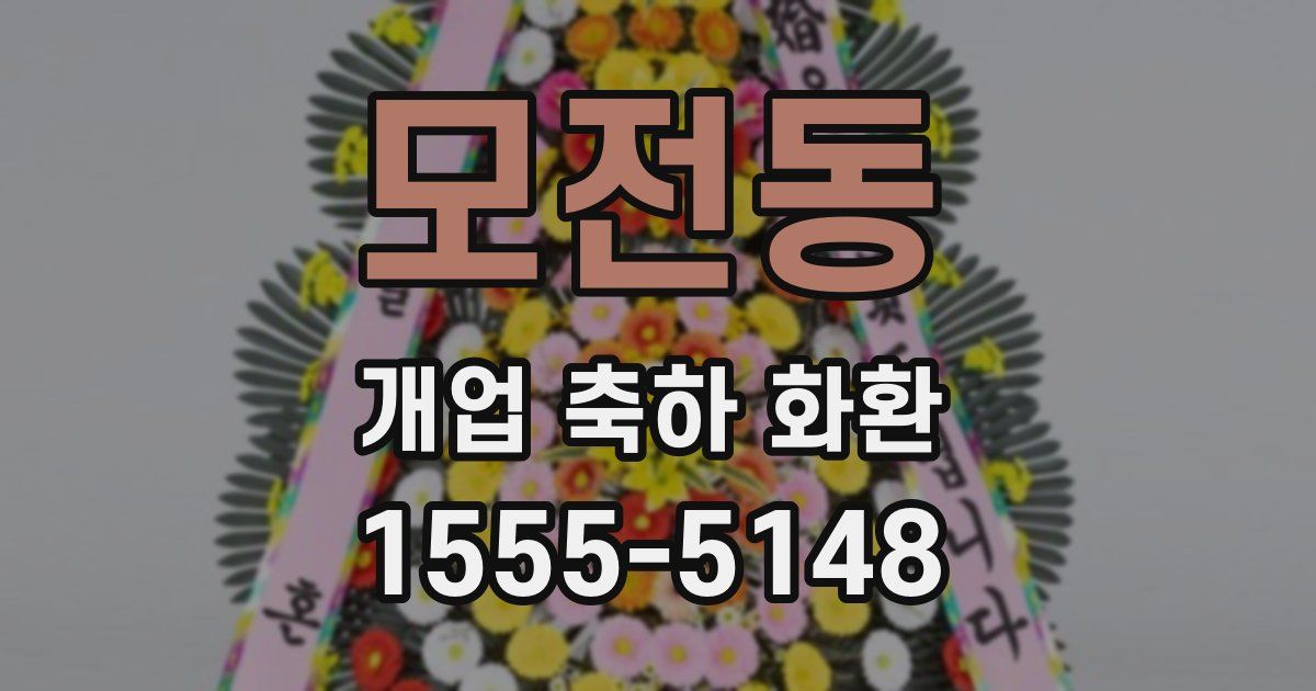 모전동 개업 축하 화환