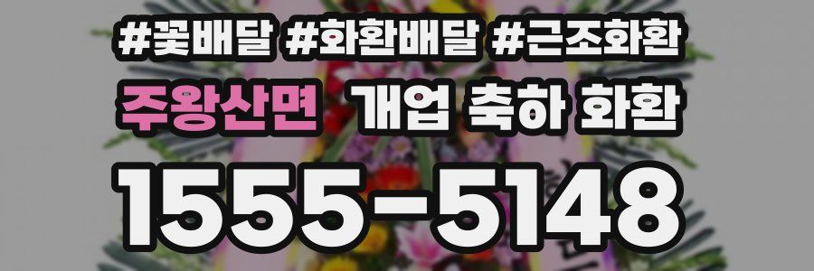 주왕산면 개업 축하 화환