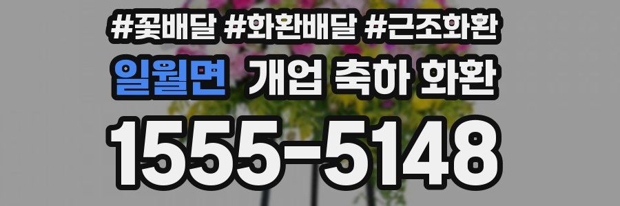 일월면 개업 축하 화환