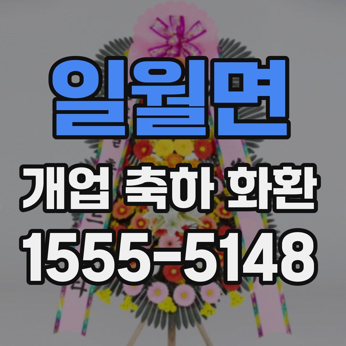 일월면 개업 축하 화환