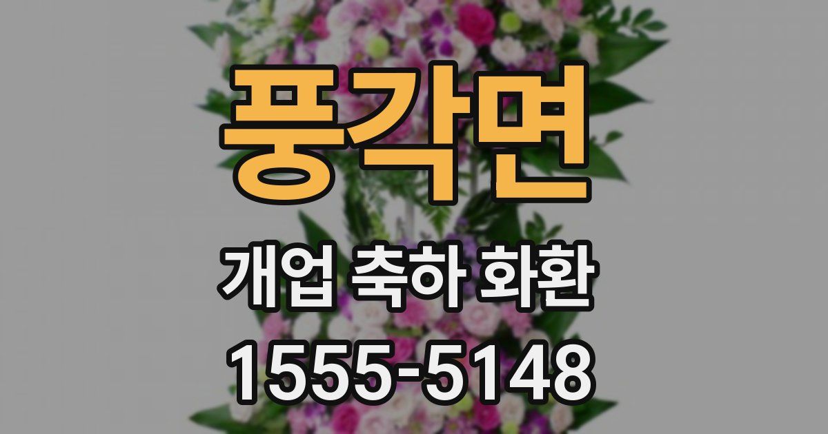 풍각면 개업 축하 화환