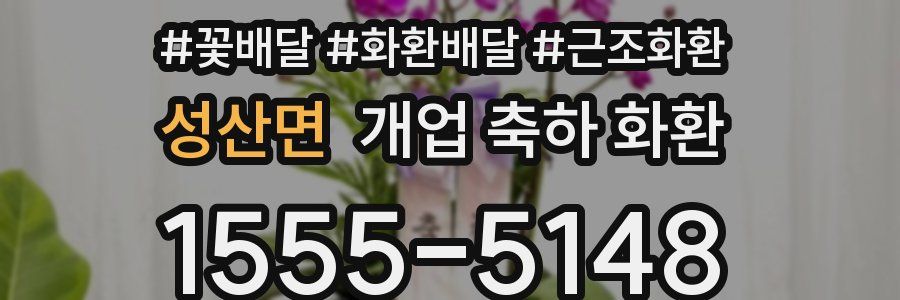 성산면 개업 축하 화환