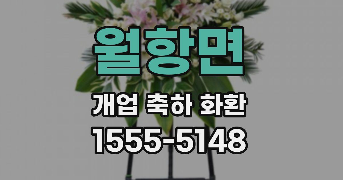 월항면 개업 축하 화환