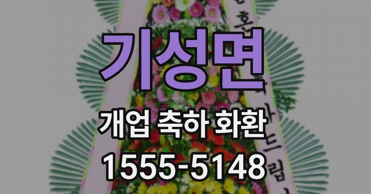 기성면 개업 축하 화환