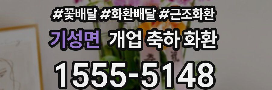 기성면 개업 축하 화환