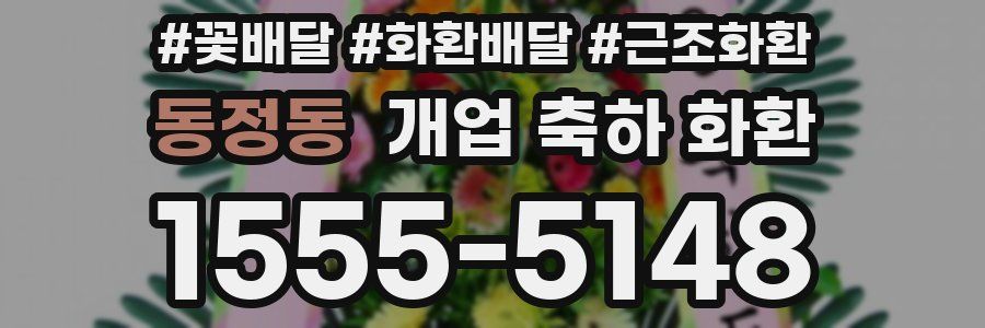 동정동 개업 축하 화환