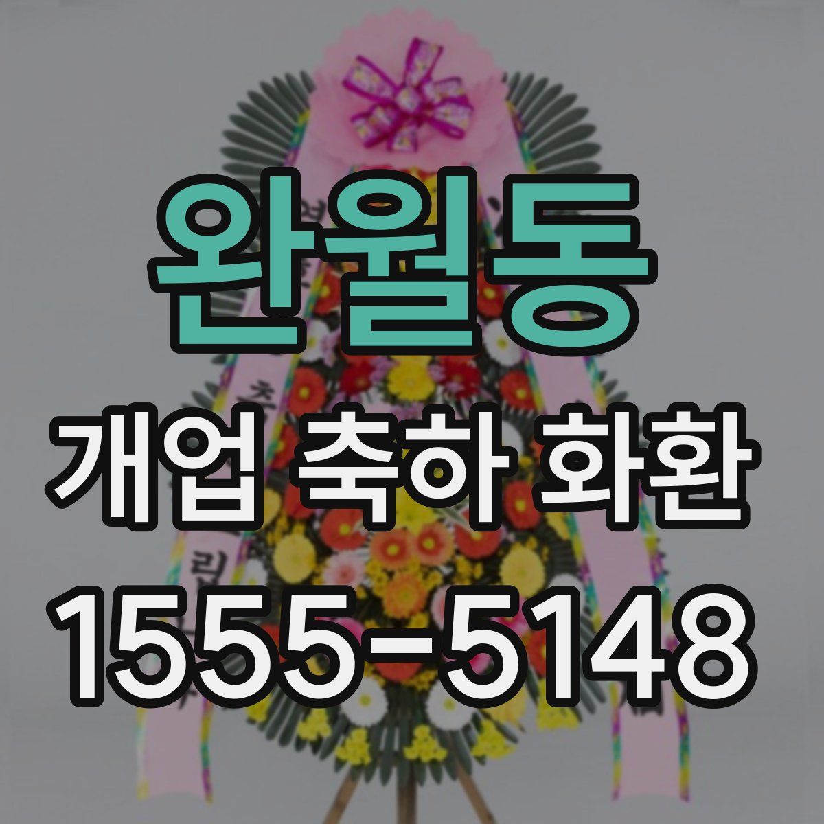 완월동 개업 축하 화환