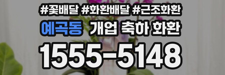 예곡동 개업 축하 화환