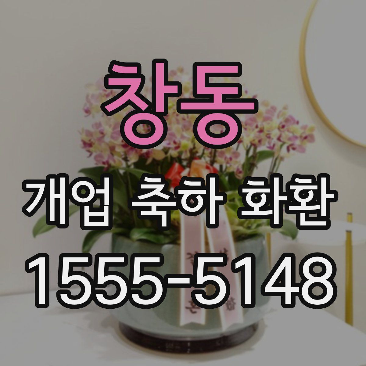 창동 개업 축하 화환